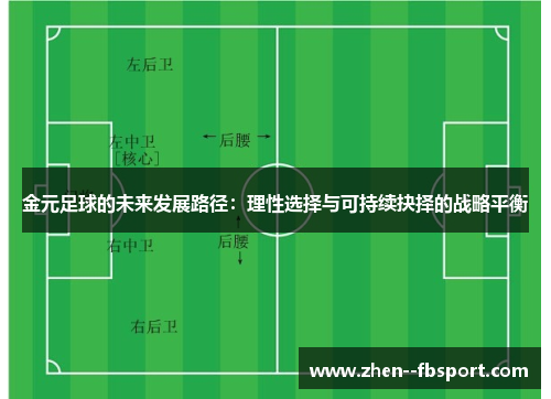 金元足球的未来发展路径：理性选择与可持续抉择的战略平衡