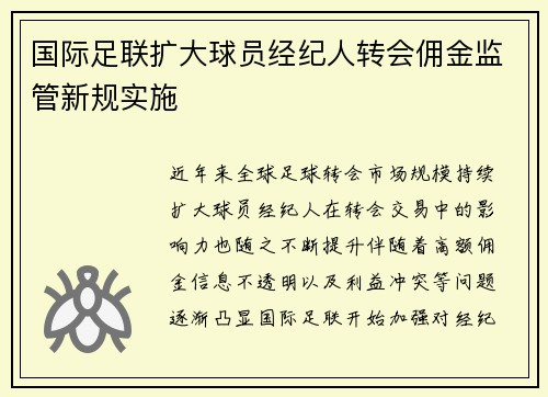 国际足联扩大球员经纪人转会佣金监管新规实施 国际足联扩大球员经纪人转会佣金监管新规实施